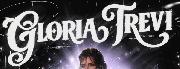 "GLORIA TREVI" FONT Font sample uploaded by isacohen to identify the typeface on WhatFontIs