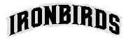 IRONBIRDS Font? Font sample uploaded by ksimko to identify the typeface on WhatFontIs