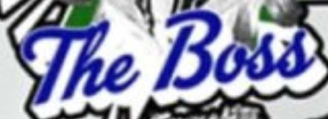 What name font please? Font sample to identify the typeface on WhatFontIs