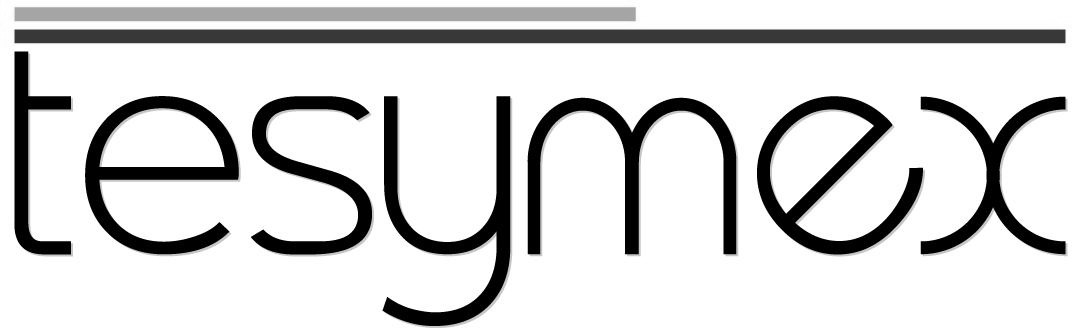 tesymex Font sample to identify the typeface on WhatFontIs