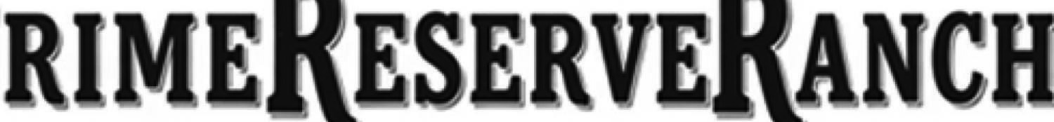REME ESERVE ANCH Font sample to identify the typeface on WhatFontIs