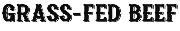 GRASS FED BEEF Font sample uploaded by 14 to identify the typeface on WhatFontIs