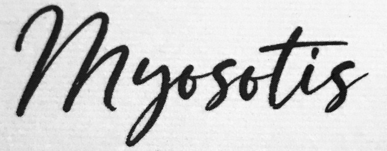 Myosotis