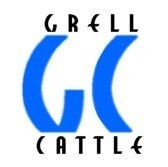 Help Font sample to identify the typeface on WhatFontIs