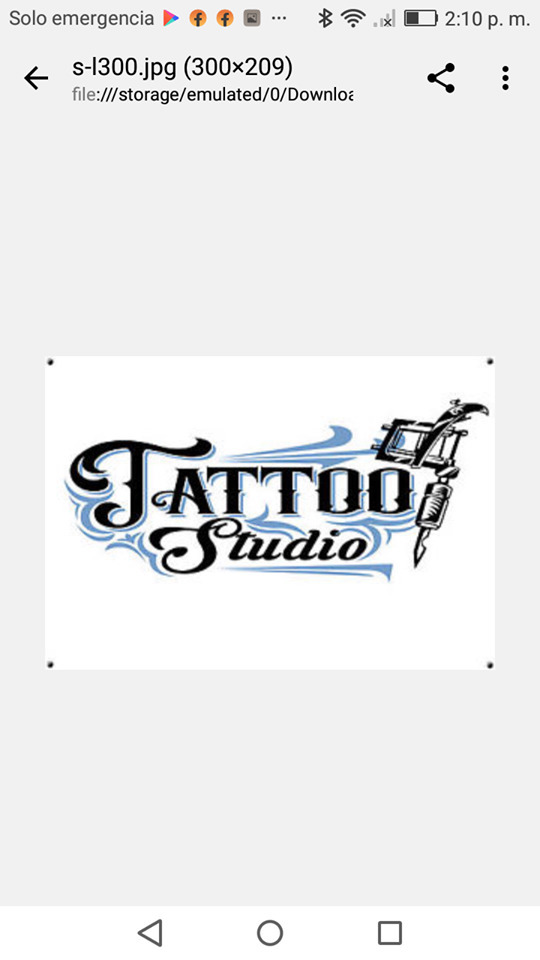 vena1995 Font sample to identify the typeface on WhatFontIs