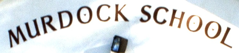 Any ideas? Font sample to identify the typeface on WhatFontIs