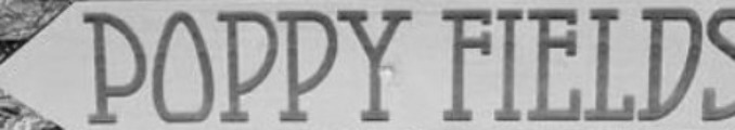 Poppy Fields Current font