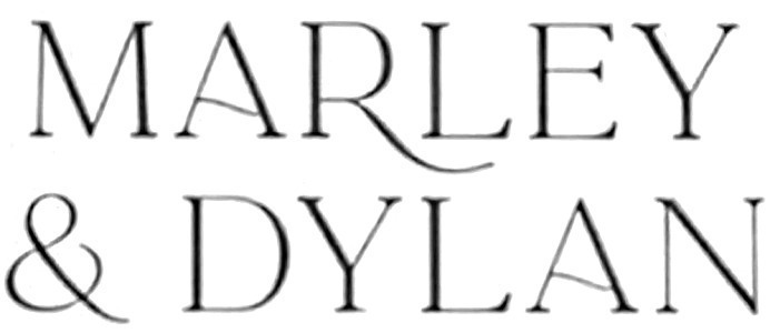 Calligraphic Script Font sample to identify the typeface on WhatFontIs