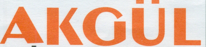 sa Font sample to identify the typeface on WhatFontIs