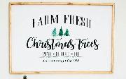 looking for the "christmas trees' font