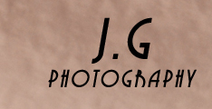 What font is this?  Font sample to identify the typeface on WhatFontIs