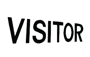VISITOR SOLID