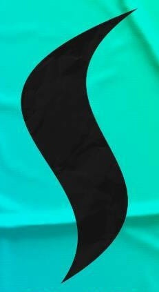 Isso Ã© a letra S Font sample to identify the typeface on WhatFontIs