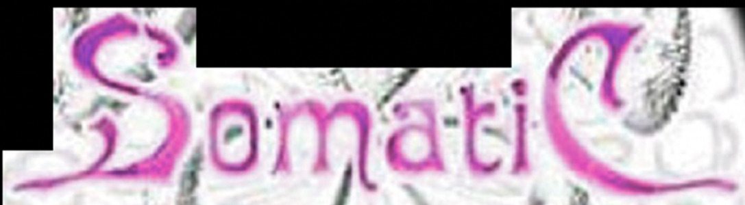 SOMATIC - missing font name