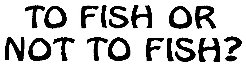 Mystery Font Font sample to identify the typeface on WhatFontIs