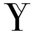 Letter Y Font sample to identify the typeface on WhatFontIs