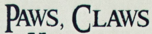 Please Help me to identify this font Font sample to identify the typeface on WhatFontIs