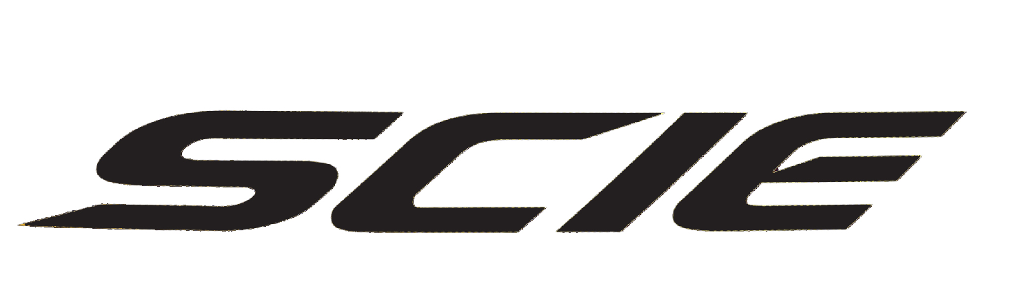 wHAT IS THIS FONT? Font sample to identify the typeface on WhatFontIs