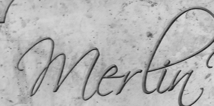  script font Font sample to identify the typeface on WhatFontIs