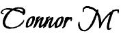 Connor M font? Font sample uploaded by a0157518 to identify the typeface on WhatFontIs