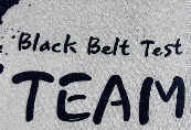 Black Belt Test TEAM Font Font sample to identify the typeface on WhatFontIs