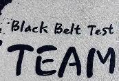 Black Belt Test TEAM Font Font sample uploaded by deenamcrorey to identify the typeface on WhatFontIs