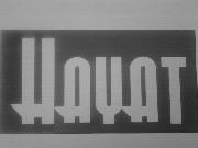 what is this font Font sample uploaded by connectevo to identify the typeface on WhatFontIs