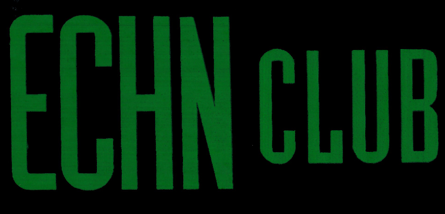 ECHN Font sample to identify the typeface on WhatFontIs