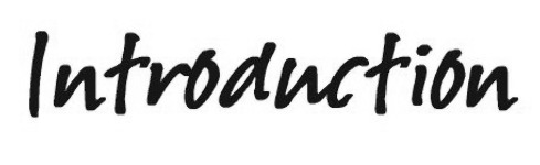 Introduction Font sample to identify the typeface on WhatFontIs