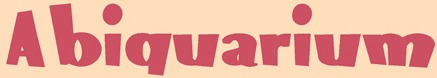 biqua Font sample to identify the typeface on WhatFontIs