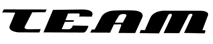 TEAM Font sample to identify the typeface on WhatFontIs