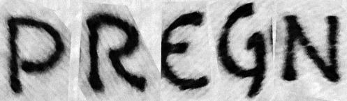 PREGN Font sample to identify the typeface on WhatFontIs