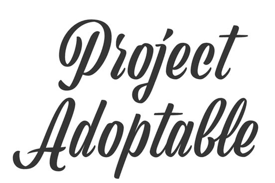 Project Adoptable. I can't find what font this is. Font sample to identify the typeface on WhatFontIs