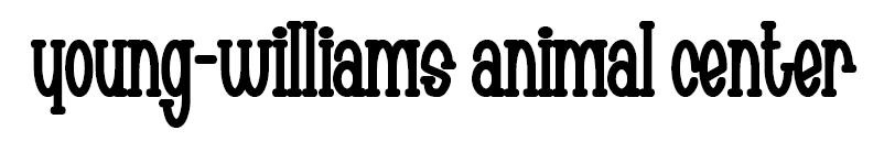 Can anyone help please? Font sample to identify the typeface on WhatFontIs