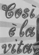 What font? Font sample to identify the typeface on WhatFontIs