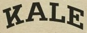 KALE Font sample to identify the typeface on WhatFontIs