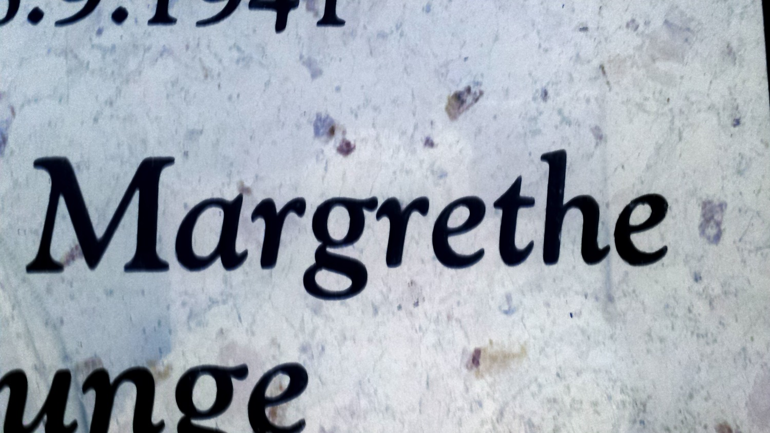 What font is this? Font sample to identify the typeface on WhatFontIs