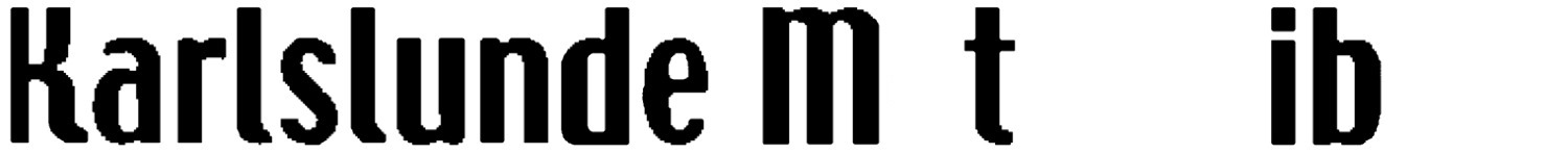 Company typeface (