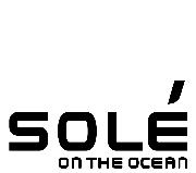 PLEASE HELP! Font sample uploaded by Tlfeeley to identify the typeface on WhatFontIs