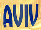 AVIV Font sample to identify the typeface on WhatFontIs