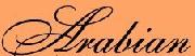 Arabian Font sample uploaded by quisten to identify the typeface on WhatFontIs