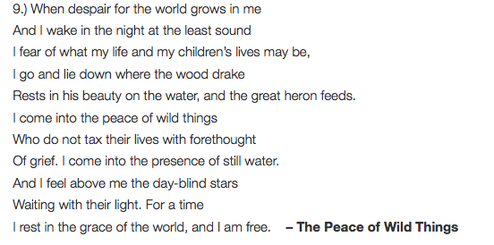 What is this? Font sample to identify the typeface on WhatFontIs