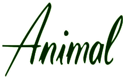 Animal Font sample to identify the typeface on WhatFontIs