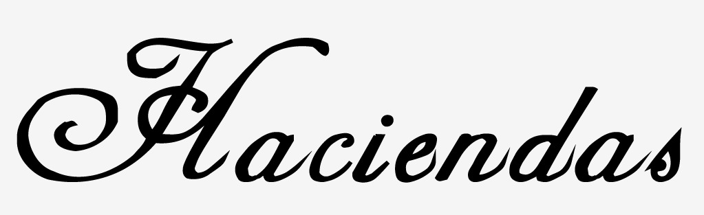 What font is this? Font sample to identify the typeface on WhatFontIs