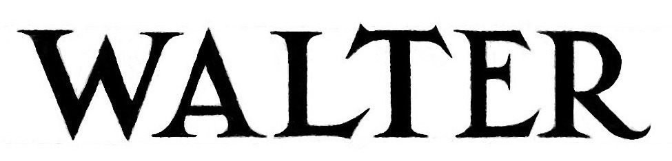 Spiky Serif Font sample to identify the typeface on WhatFontIs