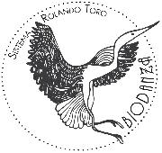 fonte Font sample uploaded by Geane to identify the typeface on WhatFontIs