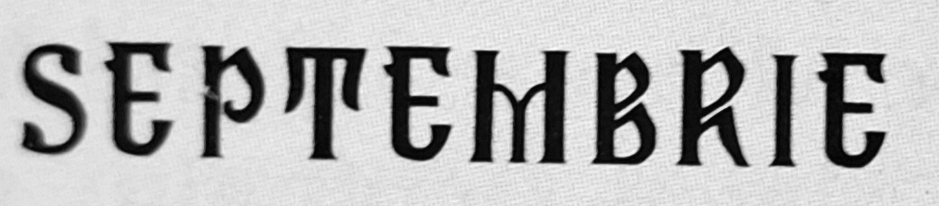 What font is? Font sample to identify the typeface on WhatFontIs