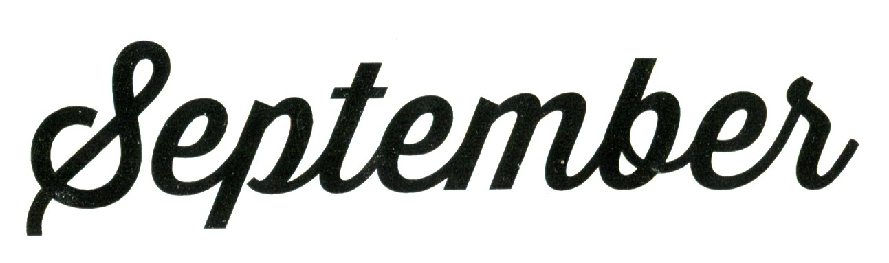 Does anyone know this fony Font sample to identify the typeface on WhatFontIs