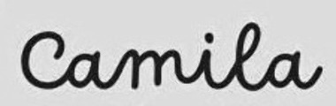 Camila font Font sample to identify the typeface on WhatFontIs