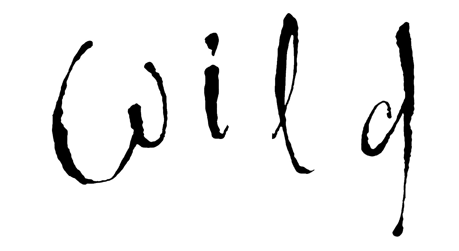 Wild Font sample to identify the typeface on WhatFontIs